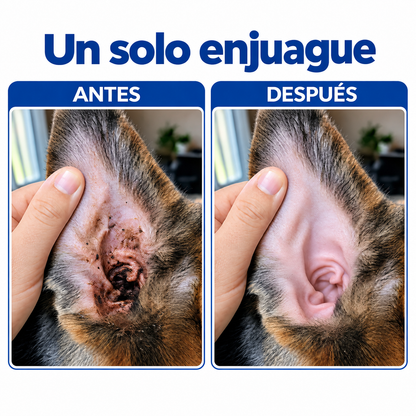Limpia Oídos para Mascotas